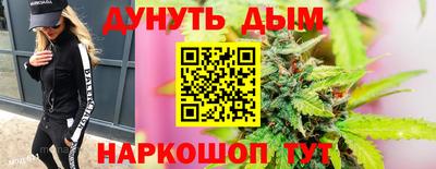 СК Новокубанск