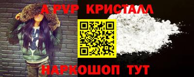 СК Новокубанск