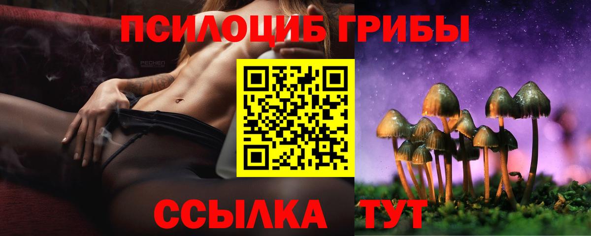 Псилоцибиновые грибы GOLDEN TEACHER Соль-Илецк