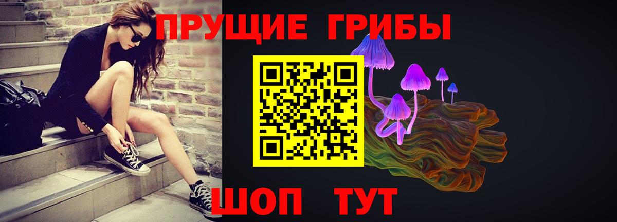 Псилоцибиновые грибы прущие грибы  Псилоцибиновые грибы MAGIC MUSHROOMS  Вход с VPN  Соль-Илецк 